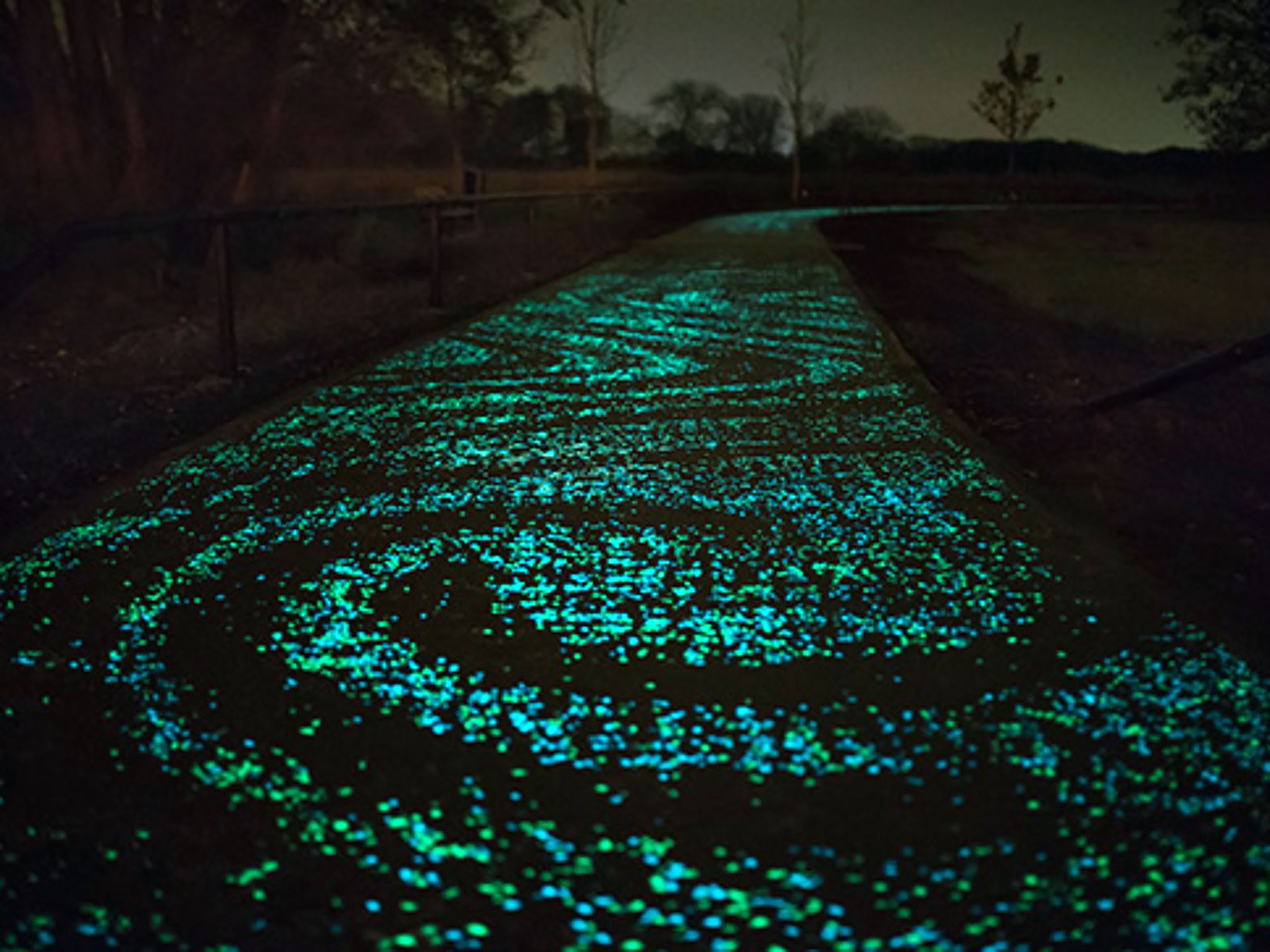Light up the dark. Даан Розегаарде велосипедная дорожка. Светящаяся дорожка. Светящаяся крошка для дорожек. Светящиеся камни.