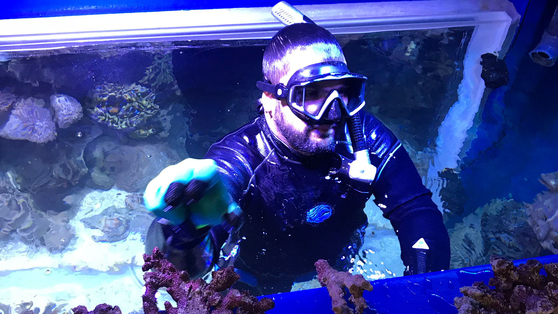 Manuel Romeo, acuarista principal en Oman Aquarium
