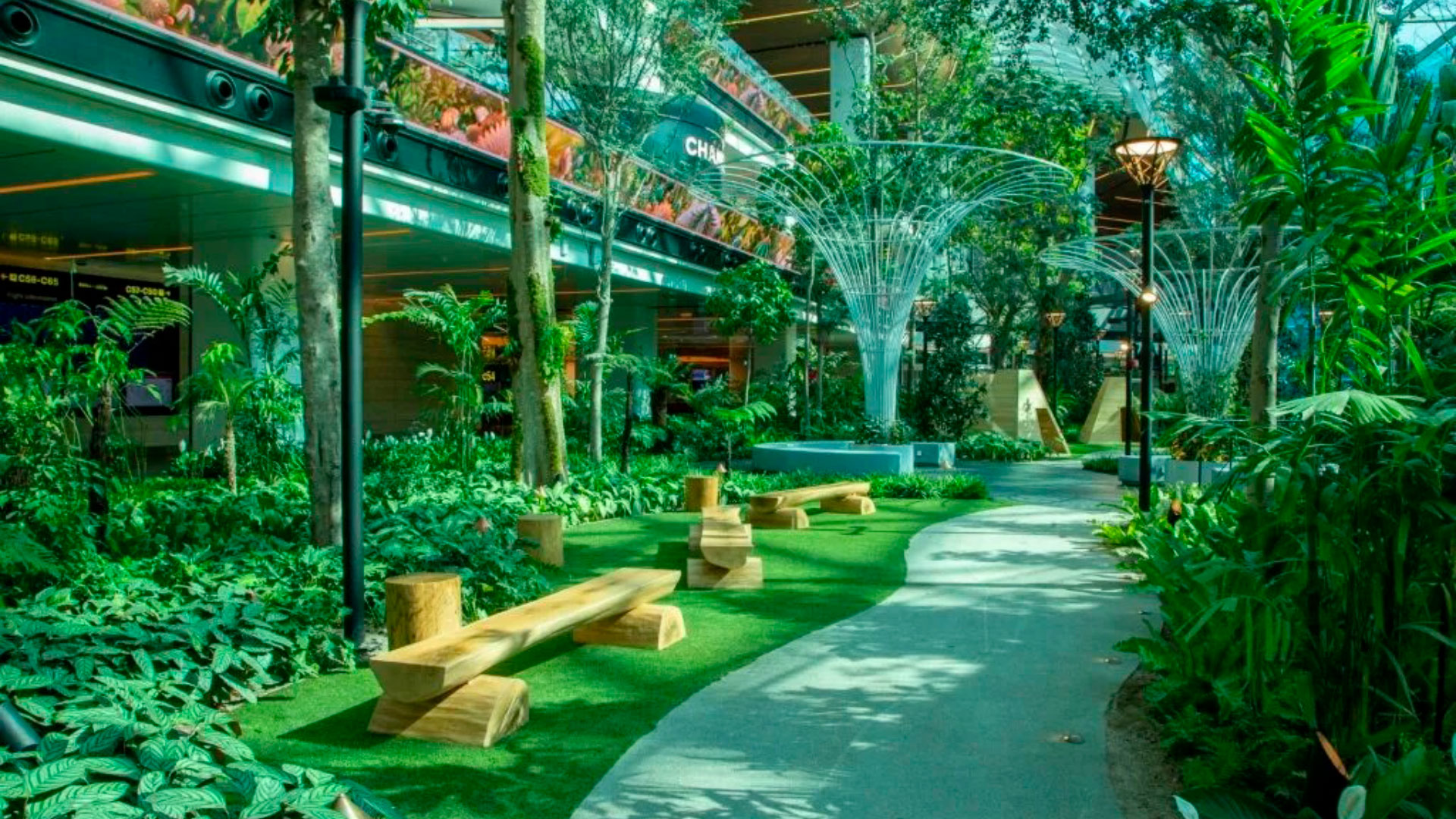 Un bosque tropical en el Aeropuerto Internacional de Hamad, Qatar