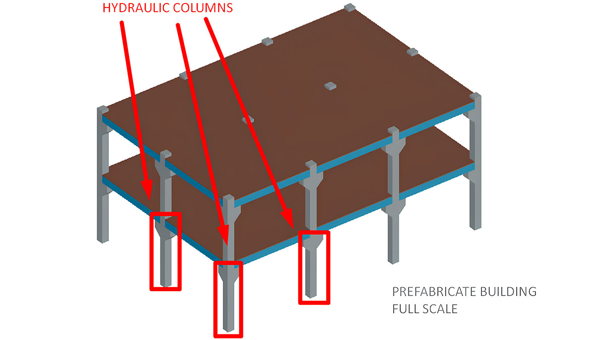 Lo que una lagartija nos enseña sobre construcción