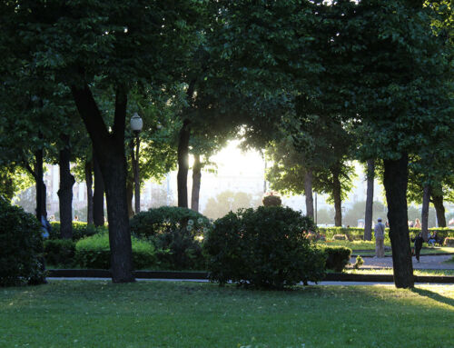 Las ciudades más verdes del mundo: recorrido por los pulmones urbanos del planeta