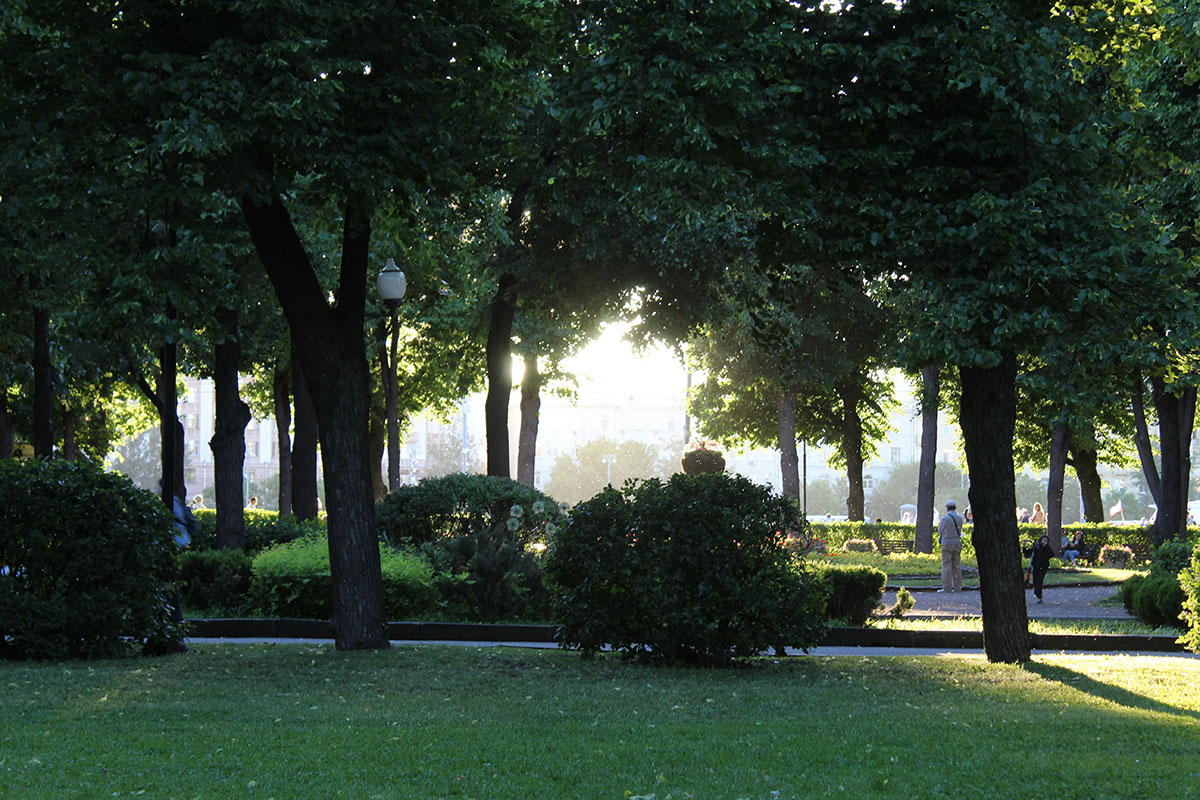 Las ciudades más verdes del mundo: recorrido por los pulmones urbanos del planeta