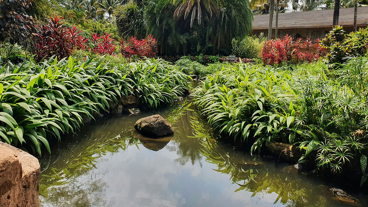 Filtración biológica del agua