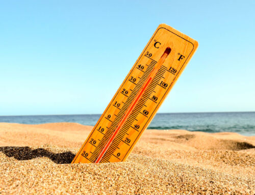 Refugios climáticos, respuesta a la «isla de calor urbana»