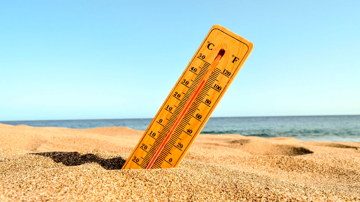 Refugios climáticos, respuesta a la «isla de calor urbana»