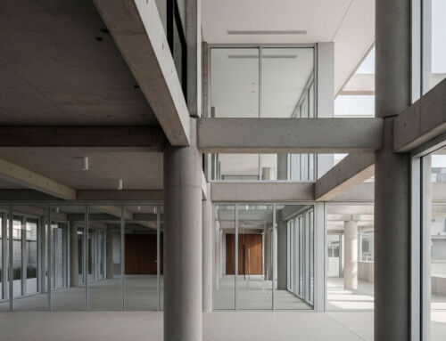 El esqueleto en el cuerpo de la arquitectura