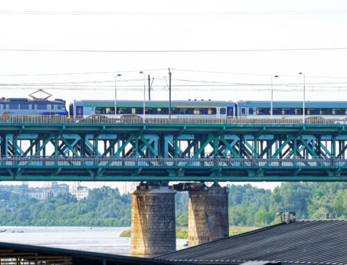 Puentes como telarañas, arquitectura con resistencia latente