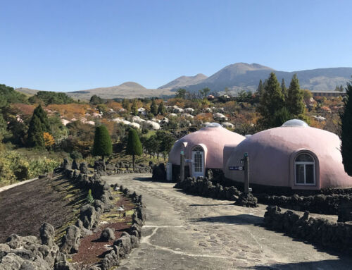 Turismo singular en Aso Farm Land