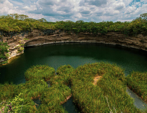 Pozas naturales vs. piscinas naturalizadas