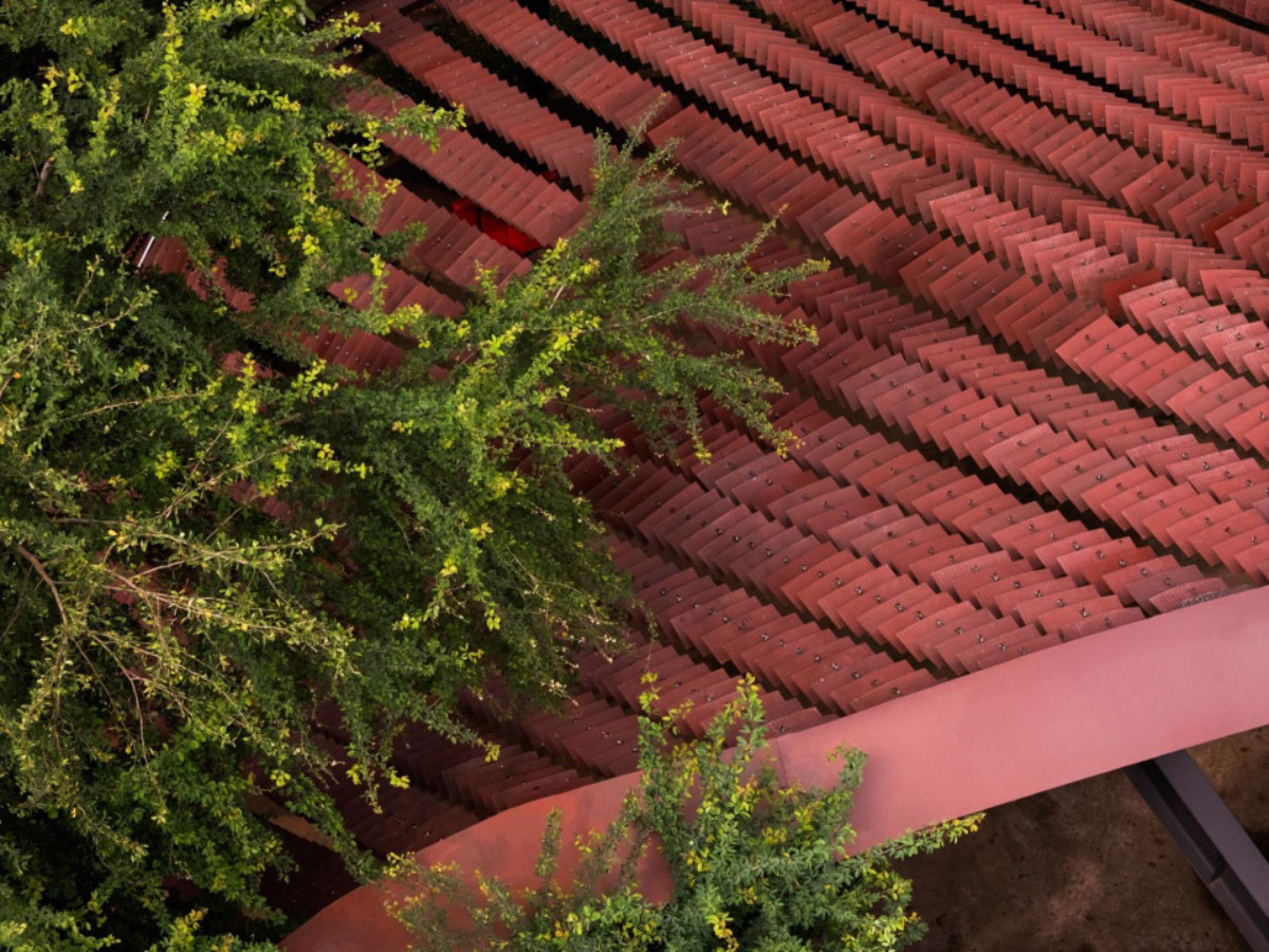 LATTICE-CREATIVE-GARDEN-5