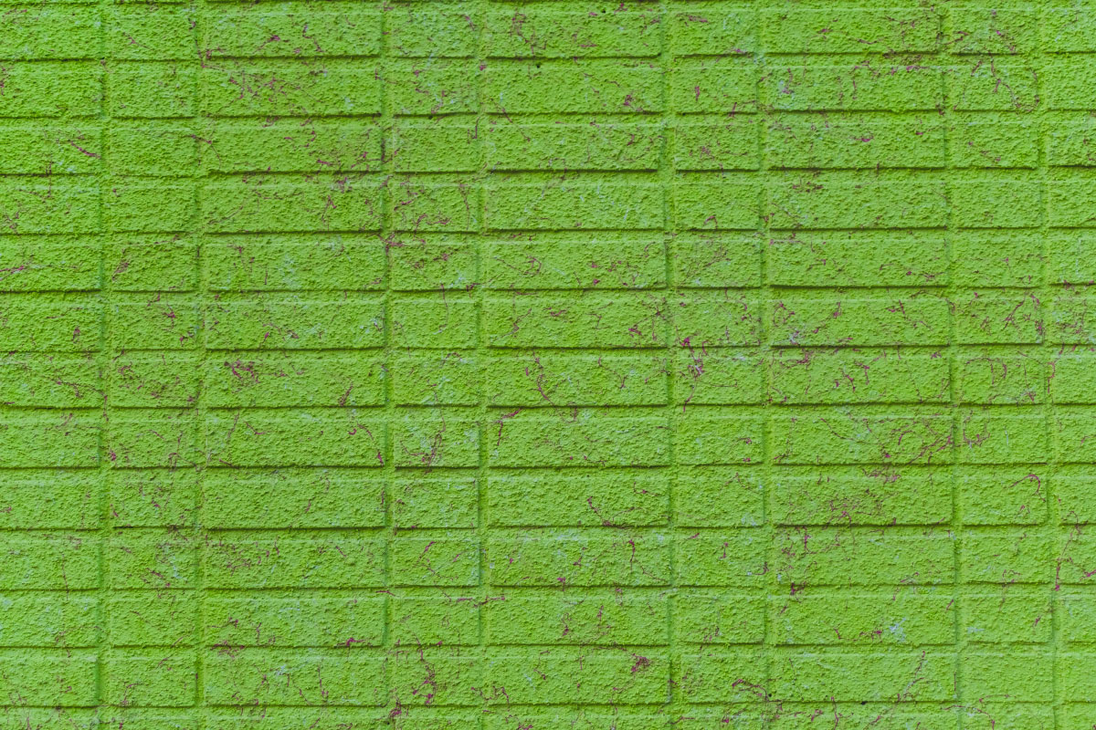 disappearing-greenery-02