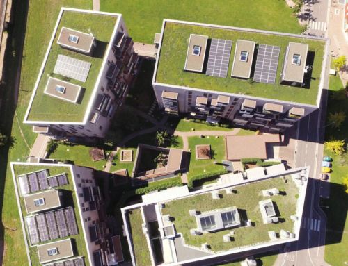 Cubiertas verdes: entre tendencia y eficiencia