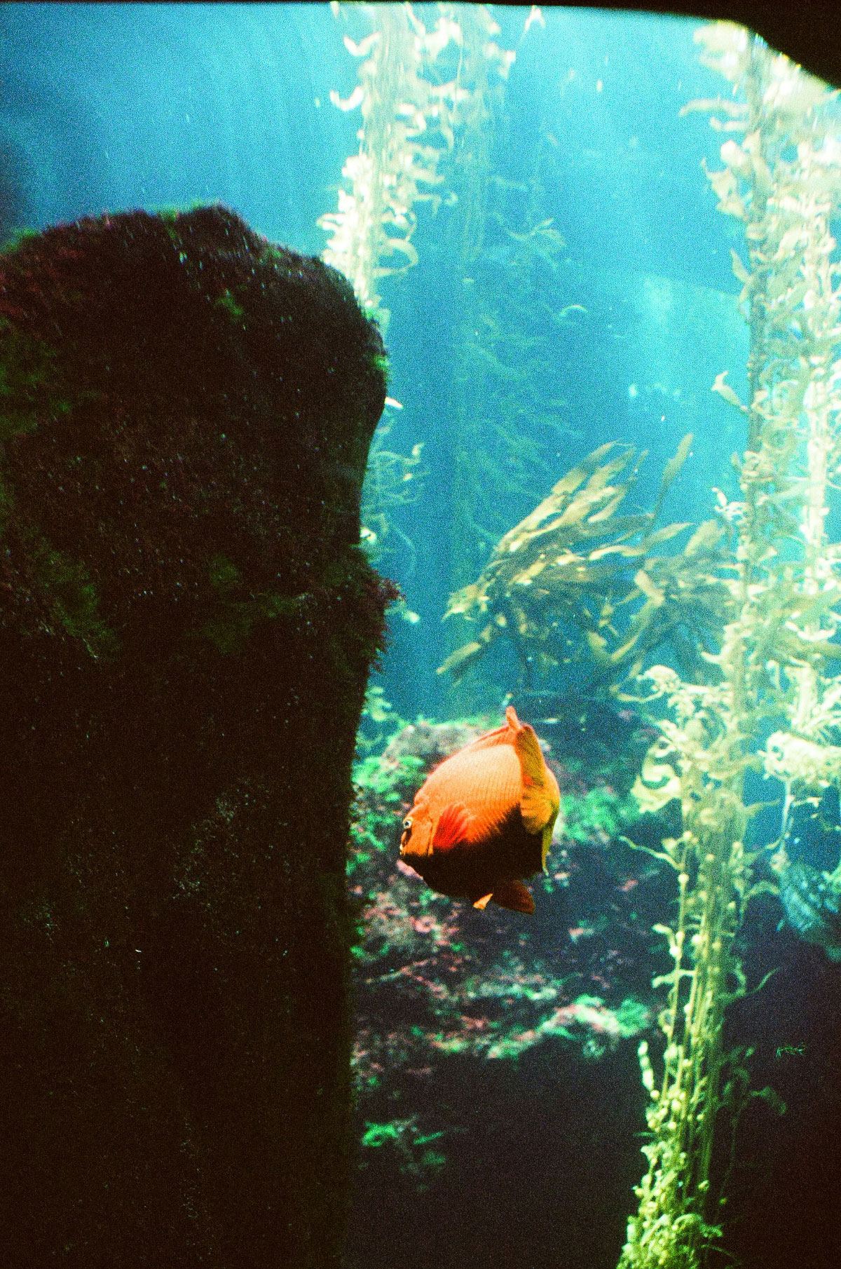 tara-mae-miller-i3qlRbCV8HM-unsplash