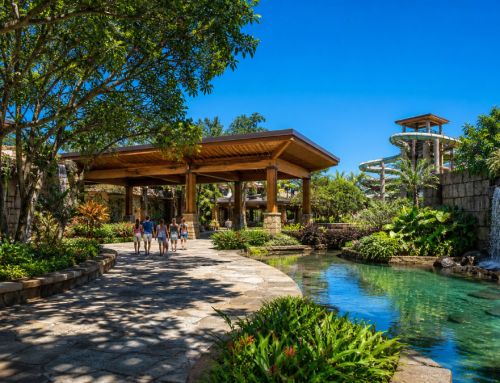 Diseño biofílico en parques acuáticos