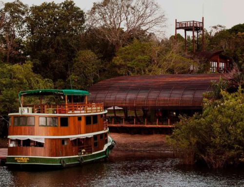 Hoteles del mundo: Mirante do Gavião Amazon Lodge, Novo Airão, Amazonas, Brasil